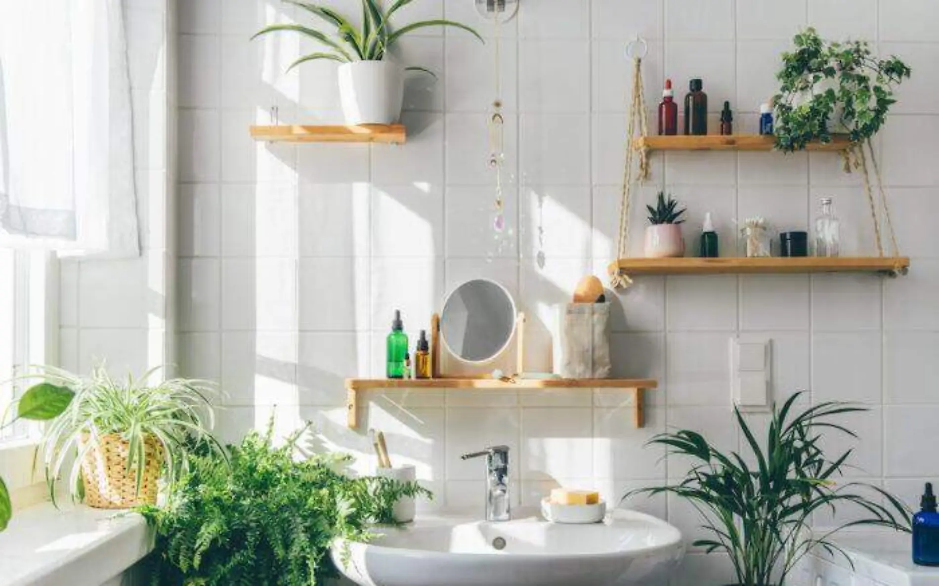 plantas en baño